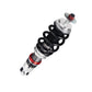 FAPO PF 32-Level Coilovers Mini Cooper R50/Cooper S R53 / Cabrio 1st Gen R52/RE16 [PF016530]
